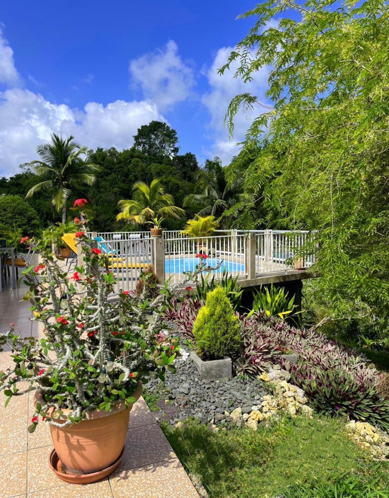 La Villa Ixora, Magnifique Villa Avec Piscine Les Abymes Luaran gambar